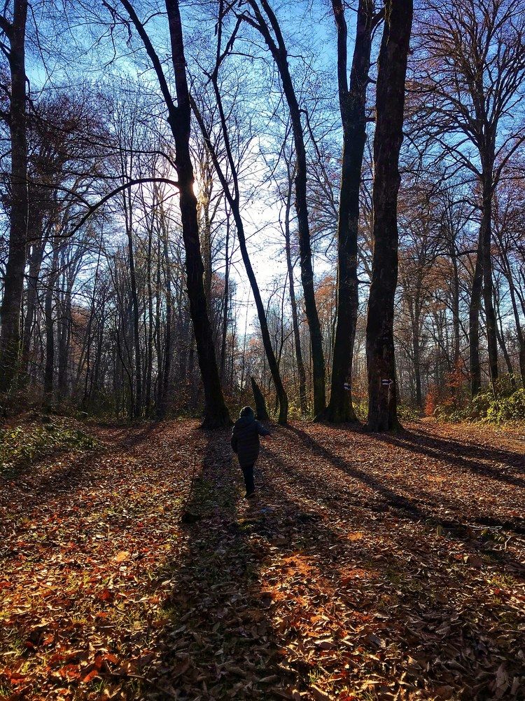 Photograph by Nunu Gambashidze