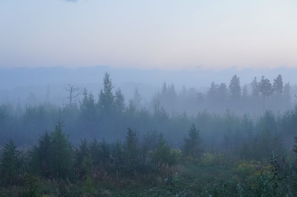 Фотография автора Юрий Тихонов