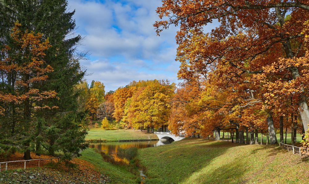 Буйство осени