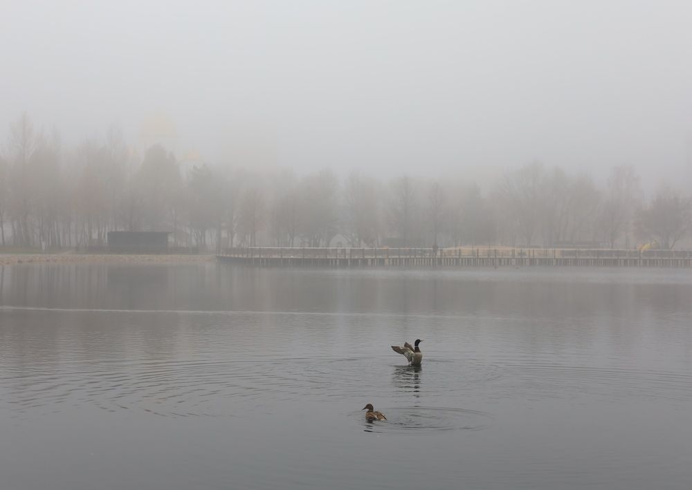 Фотография автора Ольга Варварич