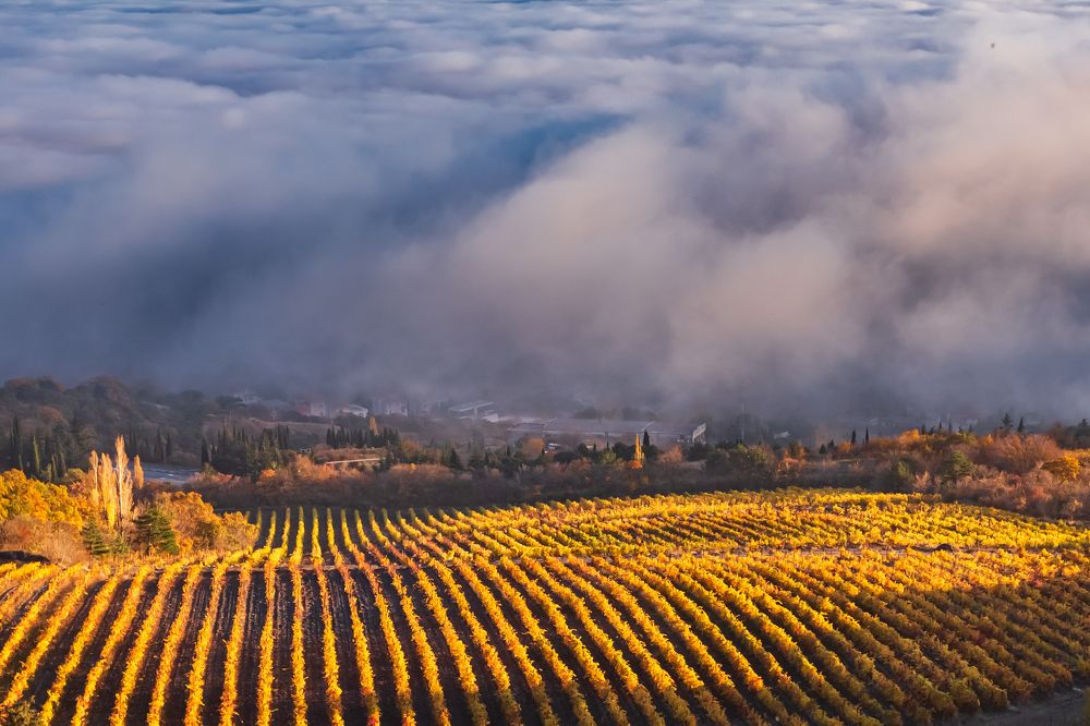 Photograph by Vladimir Soroka