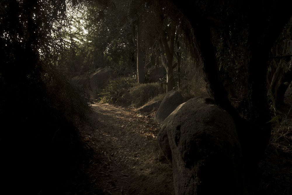 Photograph by никита риер