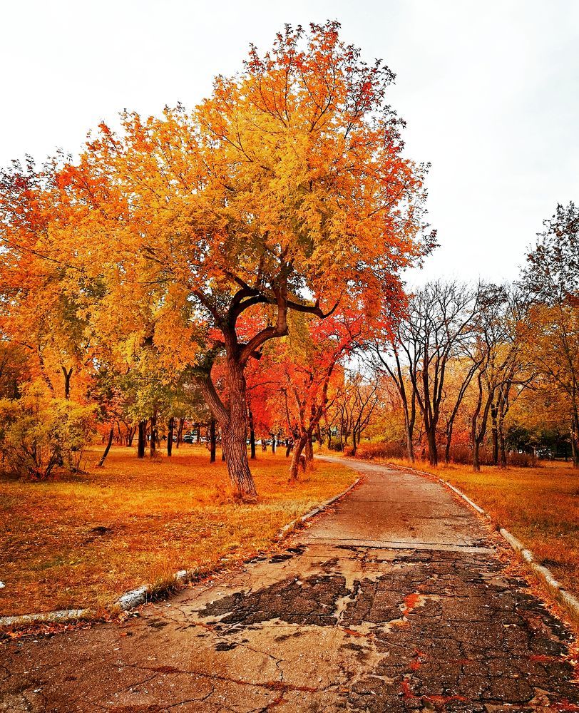 Photograph by Анастасия Прейс