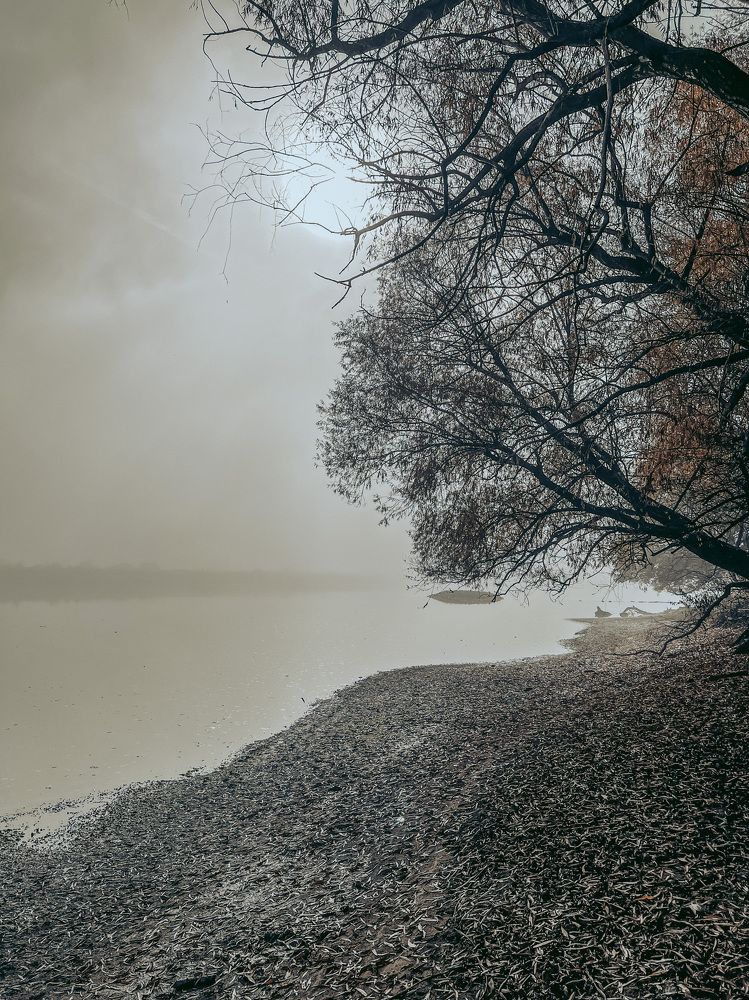 Photograph by Анастасия Денисенко