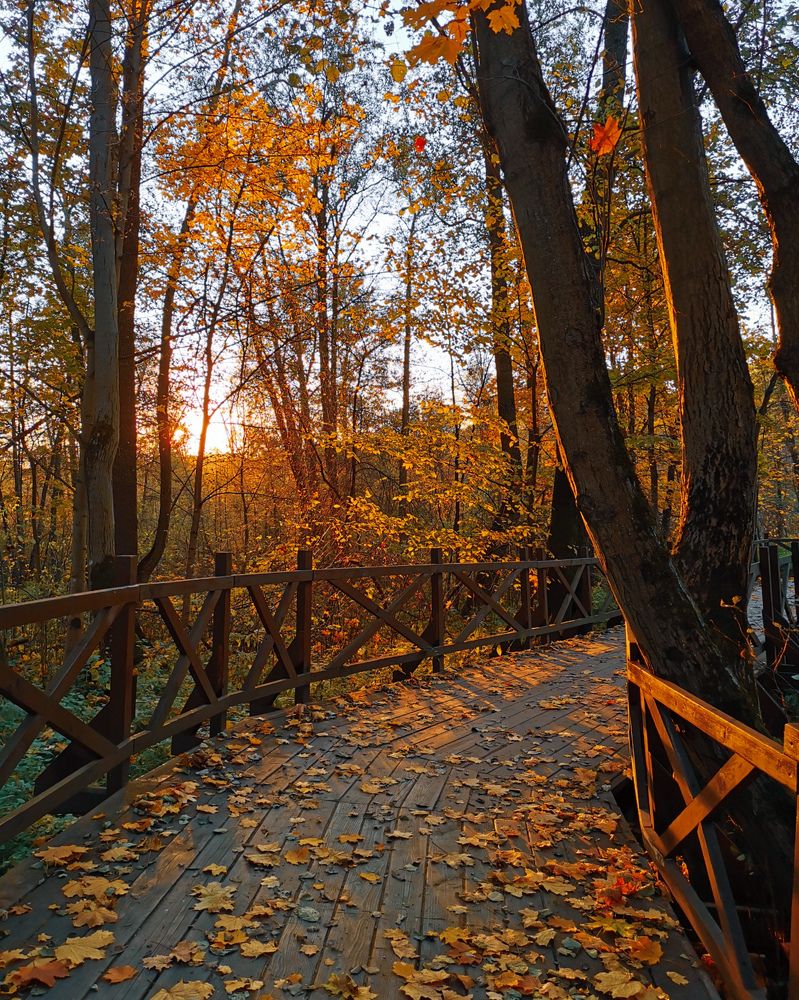 Photograph by Ксения Прохорова