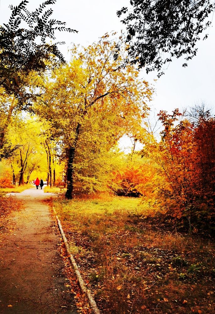 Photograph by Анастасия Прейс