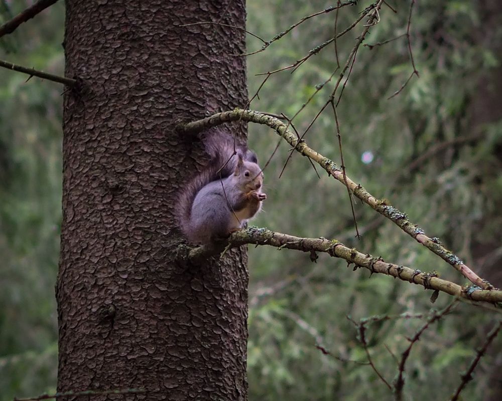 Photograph by Natalia Novikova