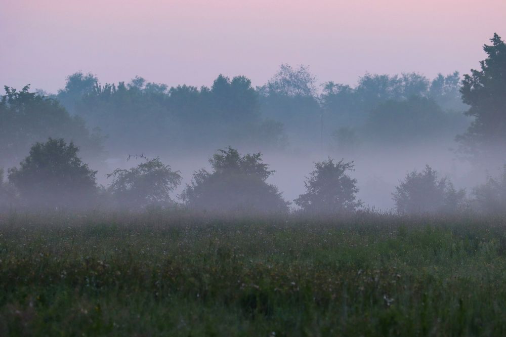 Photograph by Юлия Черкасова