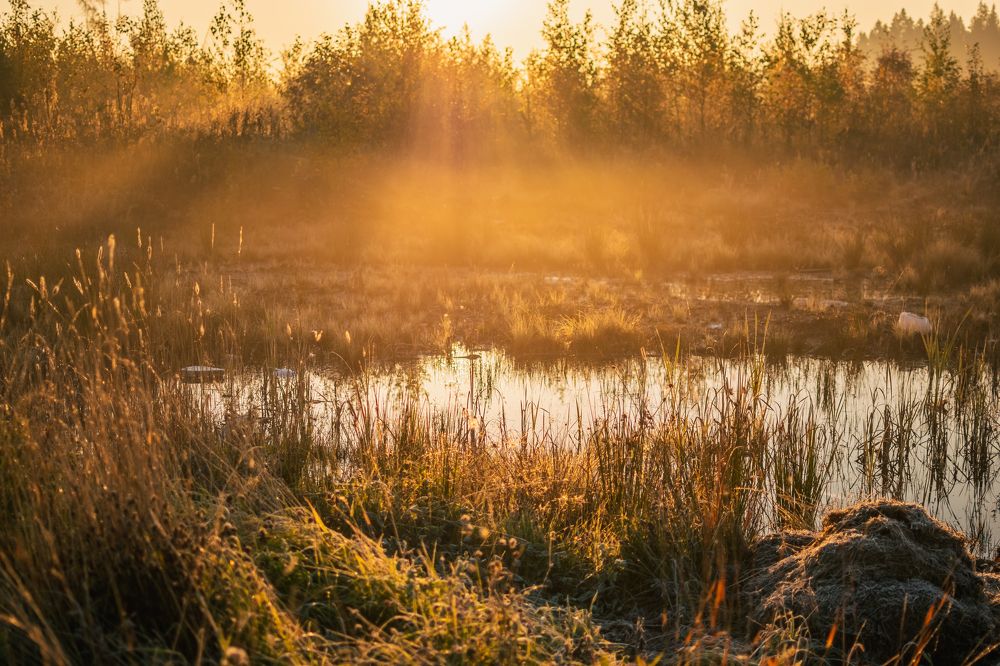 Photograph by Сергей Леканов