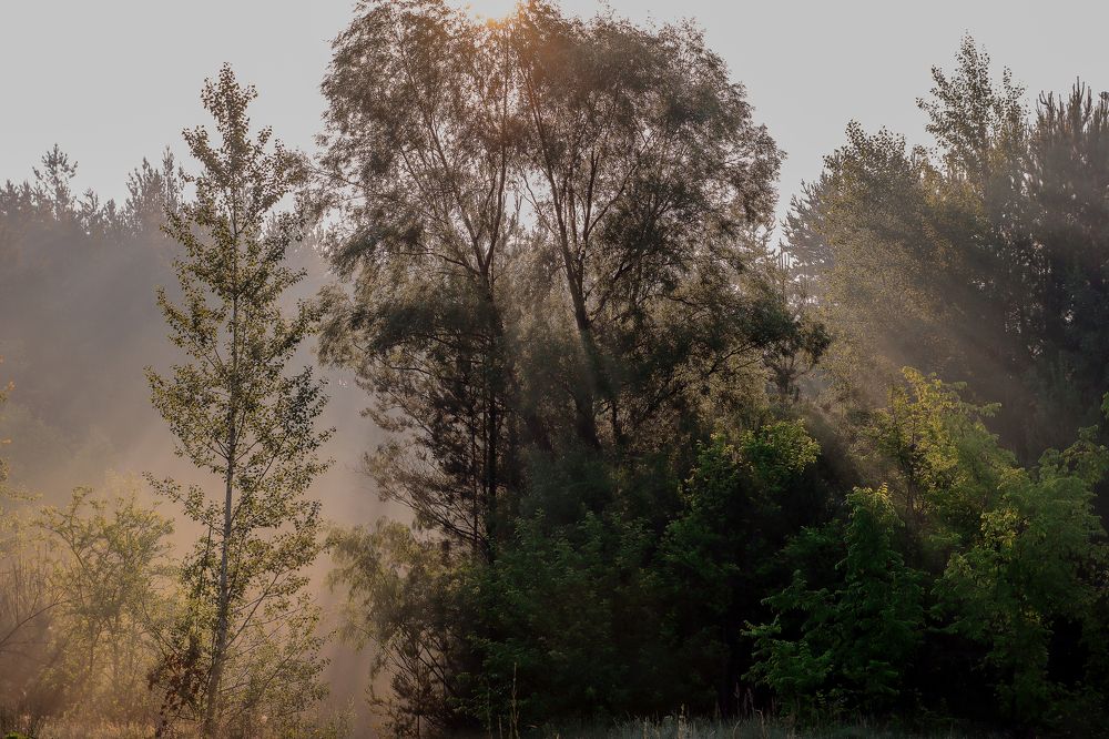 Photograph by Юлия Черкасова