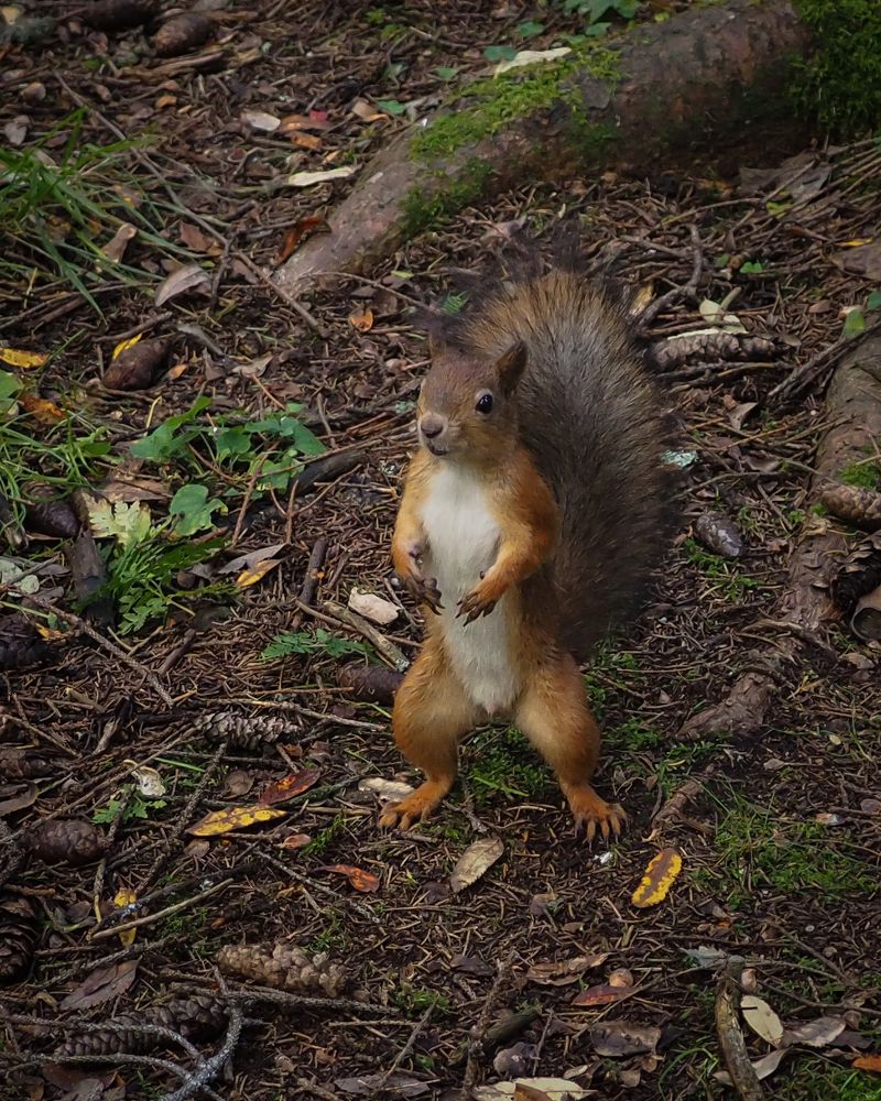 Photograph by Natalia Novikova