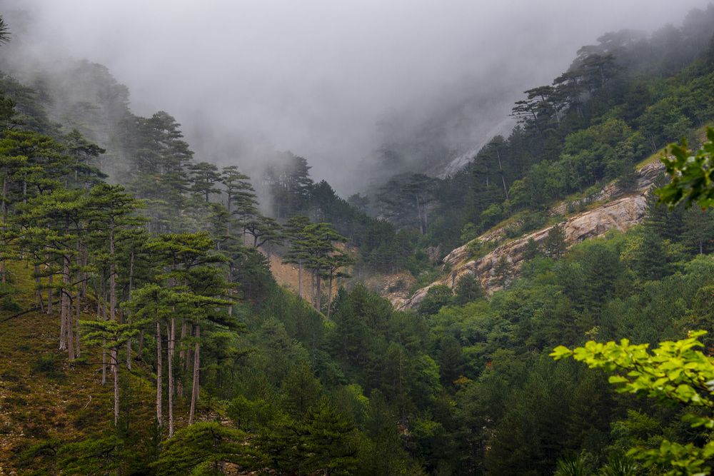 Photograph by Будаква Сергей