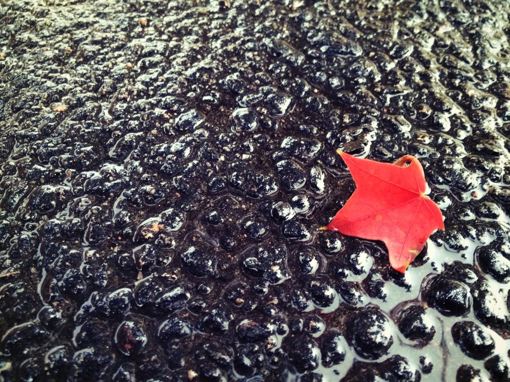 Photograph by Юлия