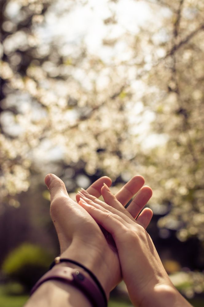 Photograph by Максим Нелидов