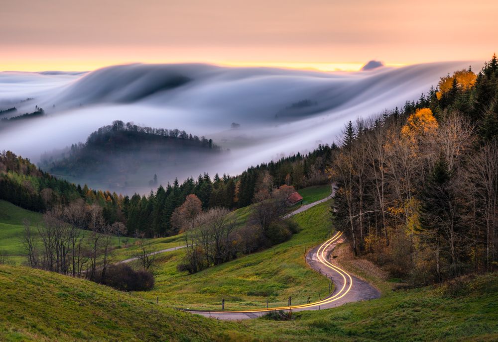 Photograph by Ewa Jermakowicz