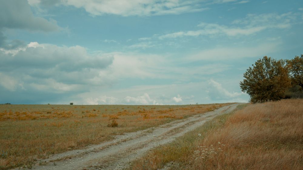 Photograph by Александр Куимов