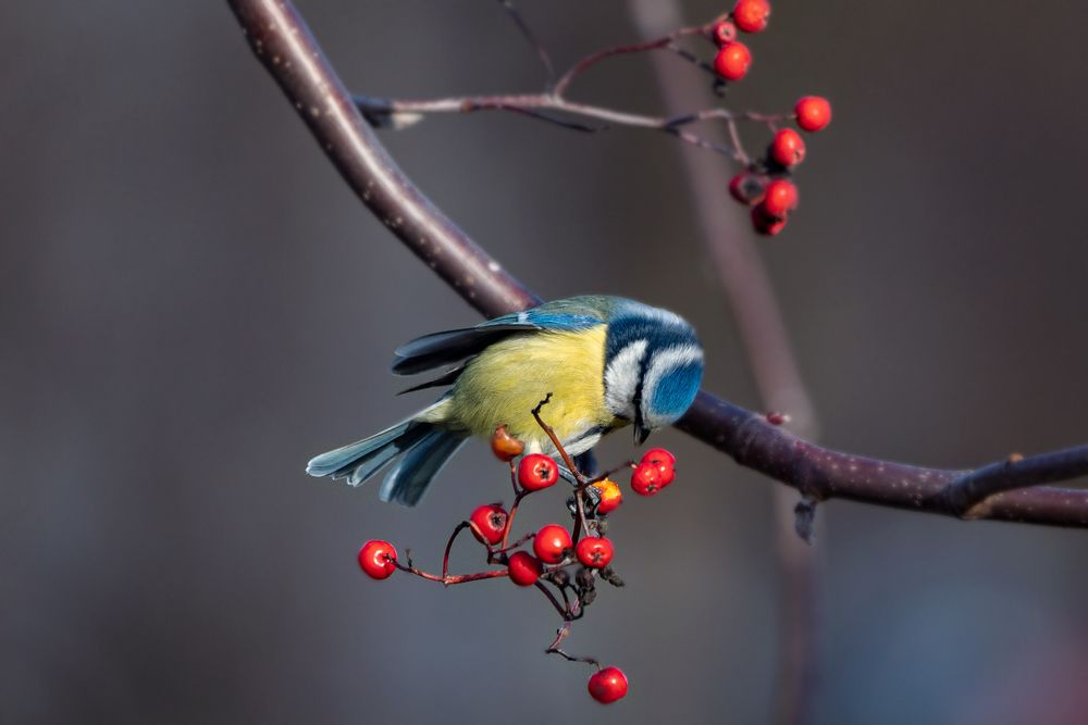 Photograph by Viktor Makarov