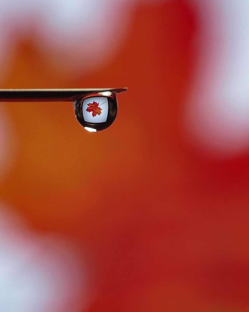 Photograph by Natalia Novikova