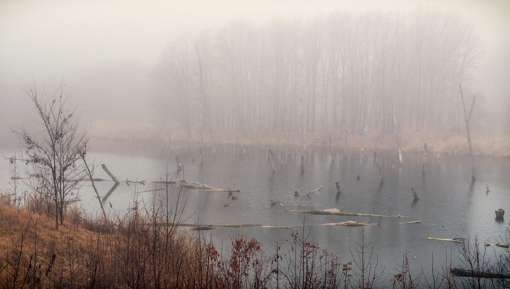 Photograph by Игорь Мелекесцев