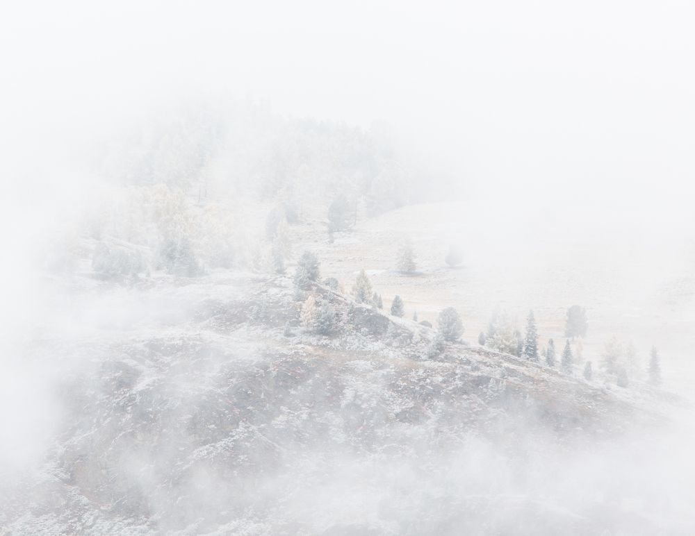 Photograph by Michael Levinsky