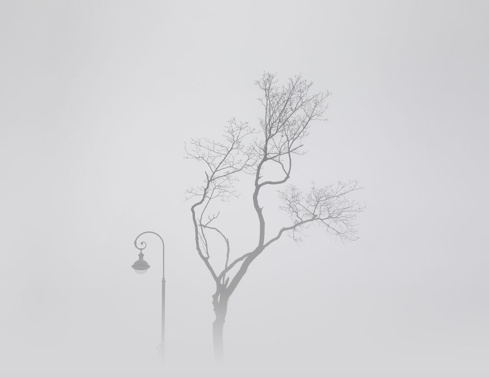 Photograph by Michael Levinsky