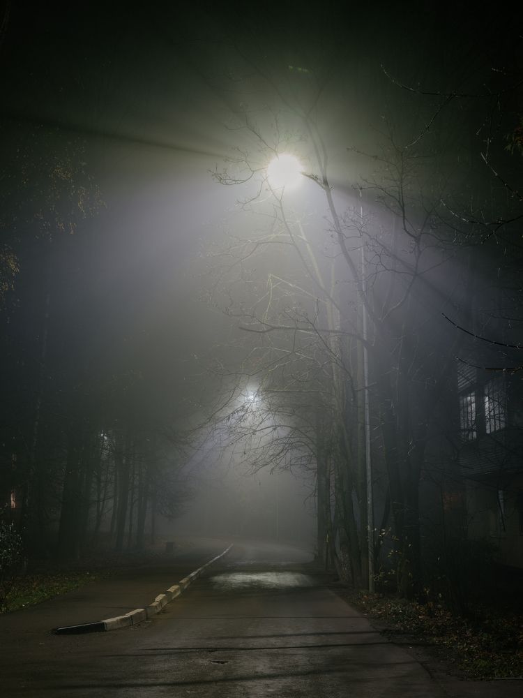Photograph by Никита Мальцев