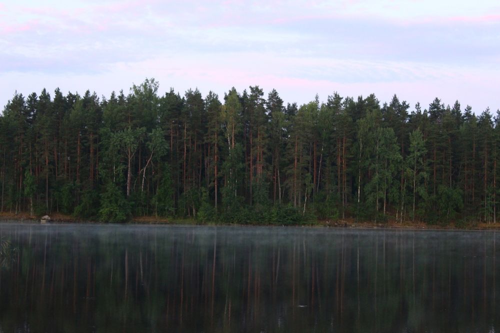 Photograph by Варвара Кочнева