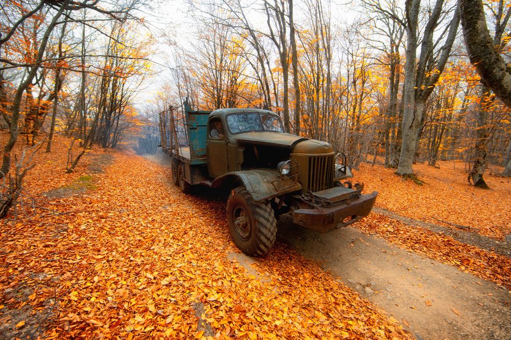 Photograph by Сергей Абашкин