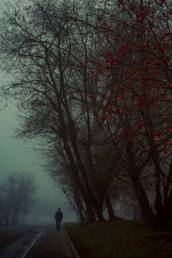 Photograph by Олег