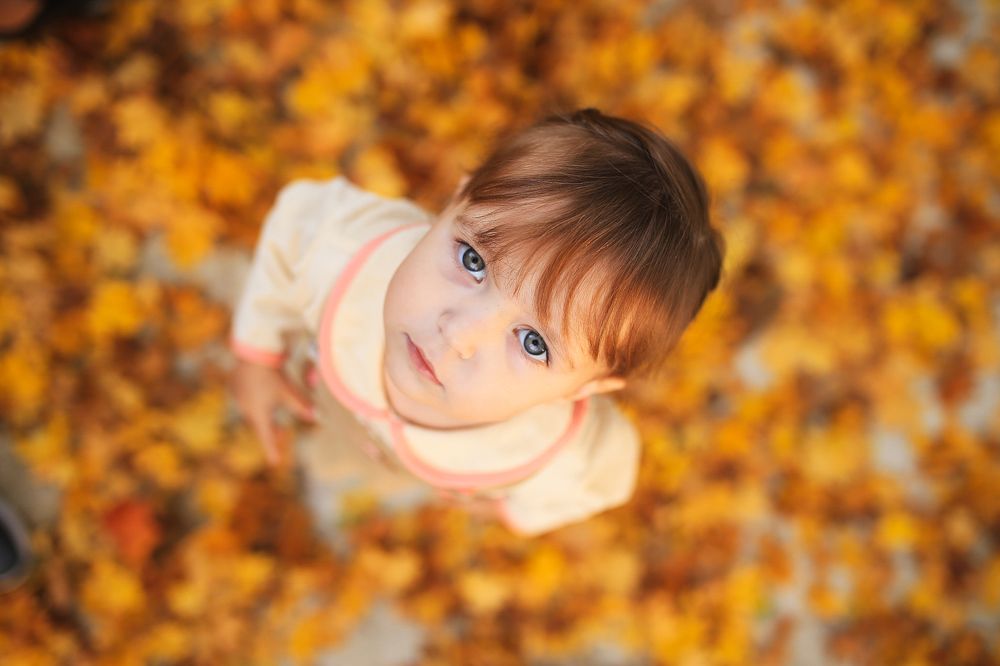 Фотография автора Ольга Быкова