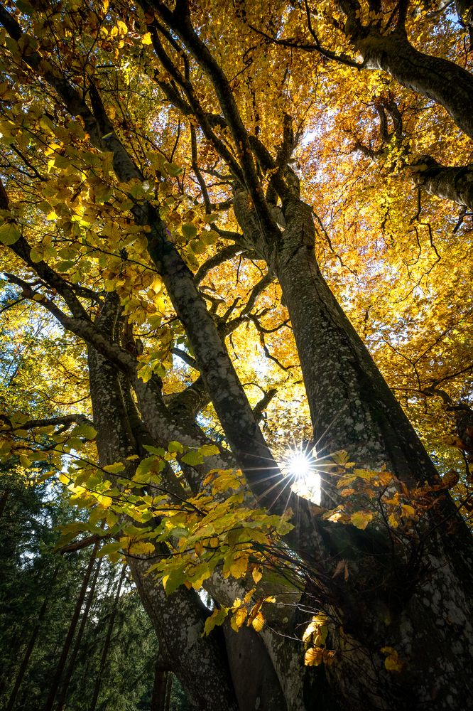 Photograph by Ewa Jermakowicz