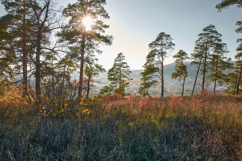 Photograph by Олег Архипов