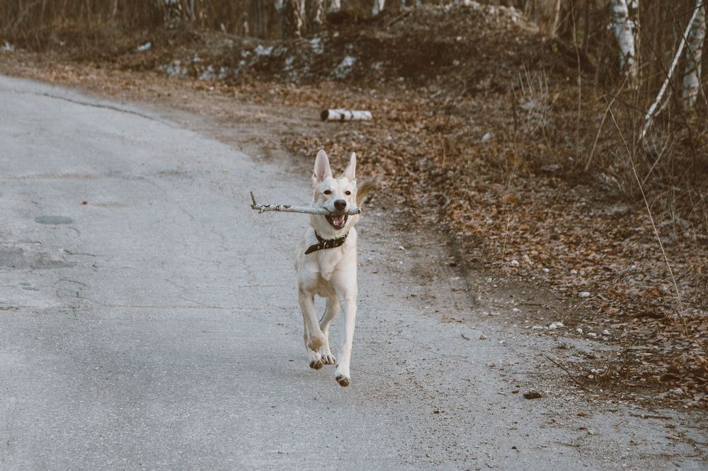 Photograph by Олег Архипов