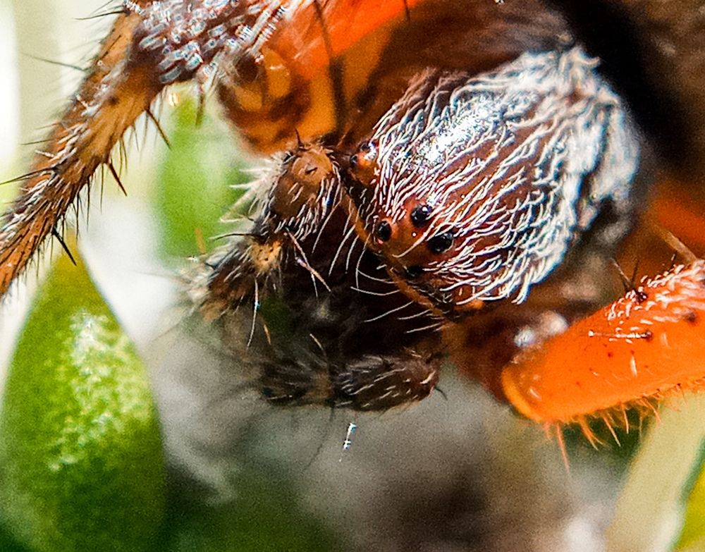 Фотография автора Jose Marcos Carvajal Tarazona