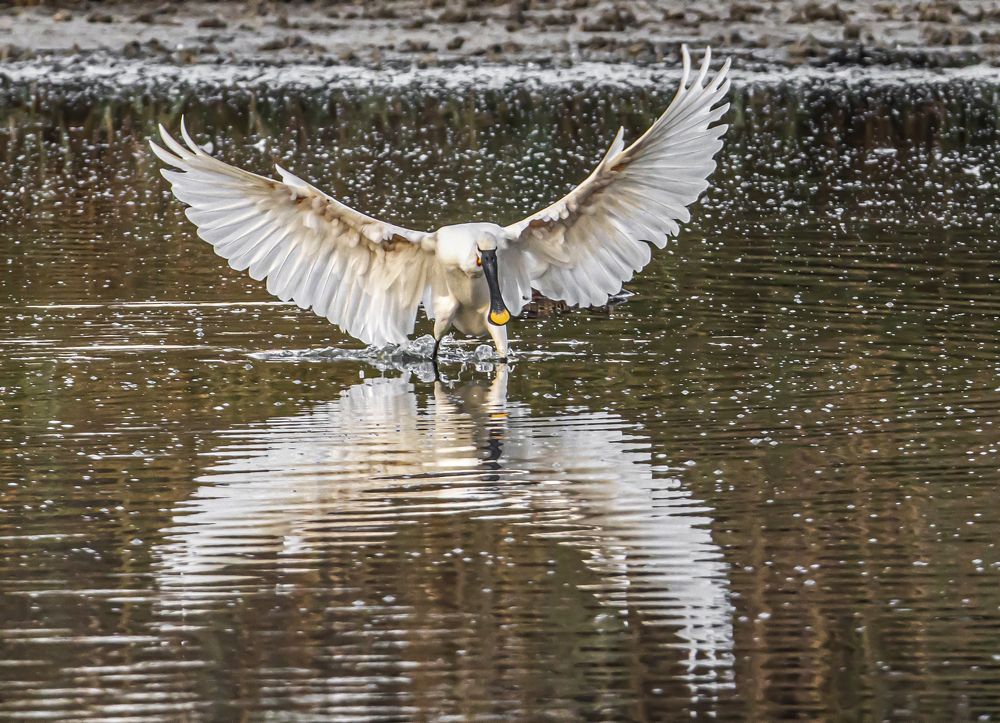 Photograph by Валентина Лопаткина