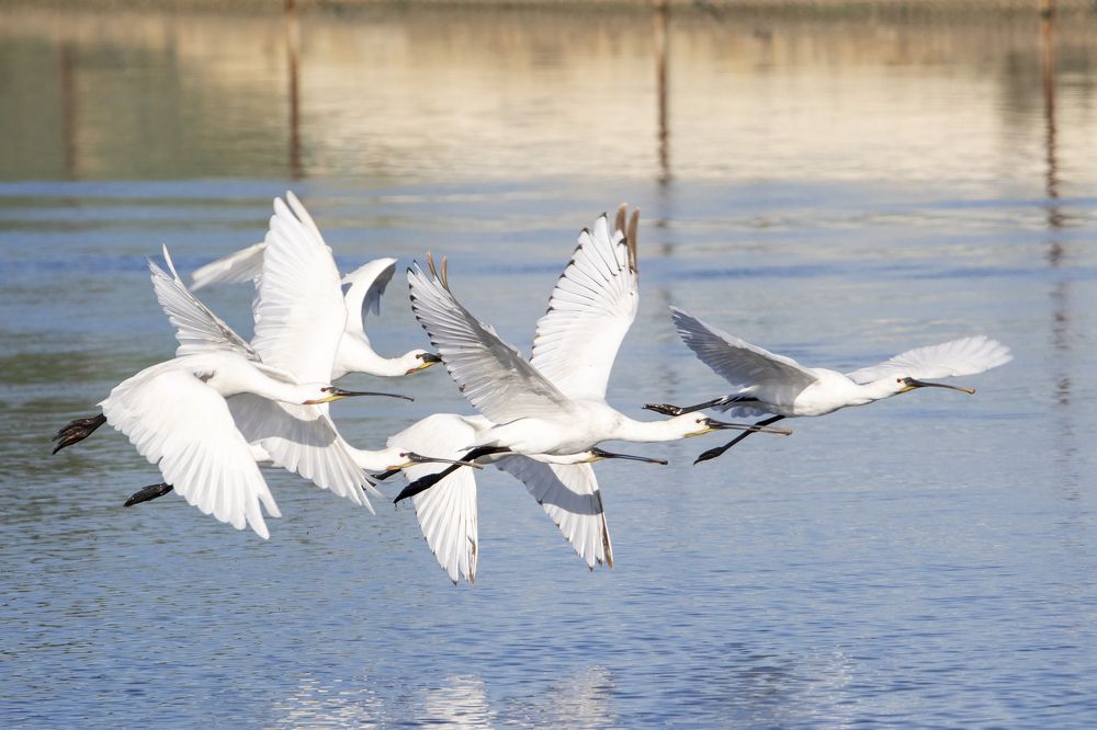 Photograph by Валентина Лопаткина