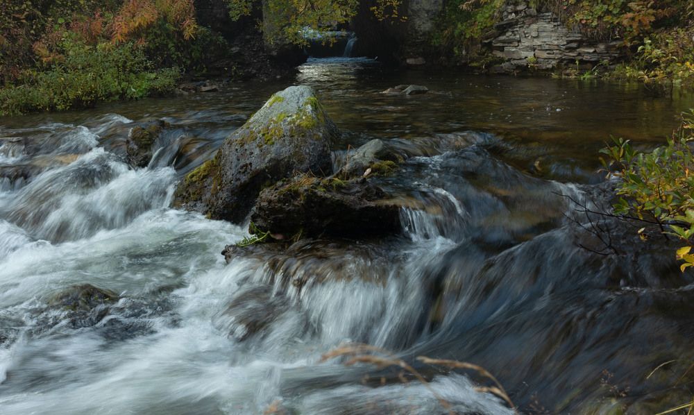 Photograph by Елена Станькова