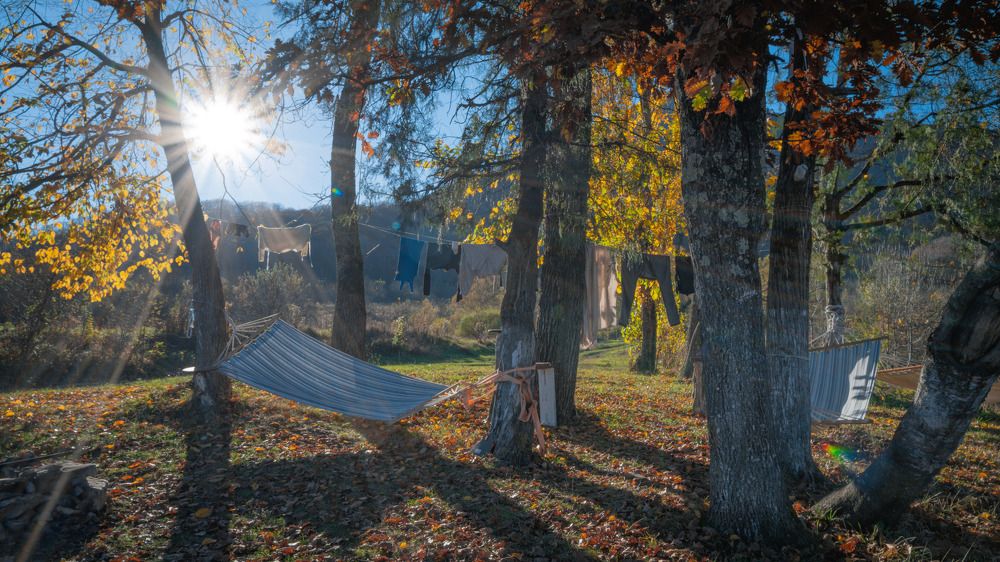 Photograph by Александр Куимов