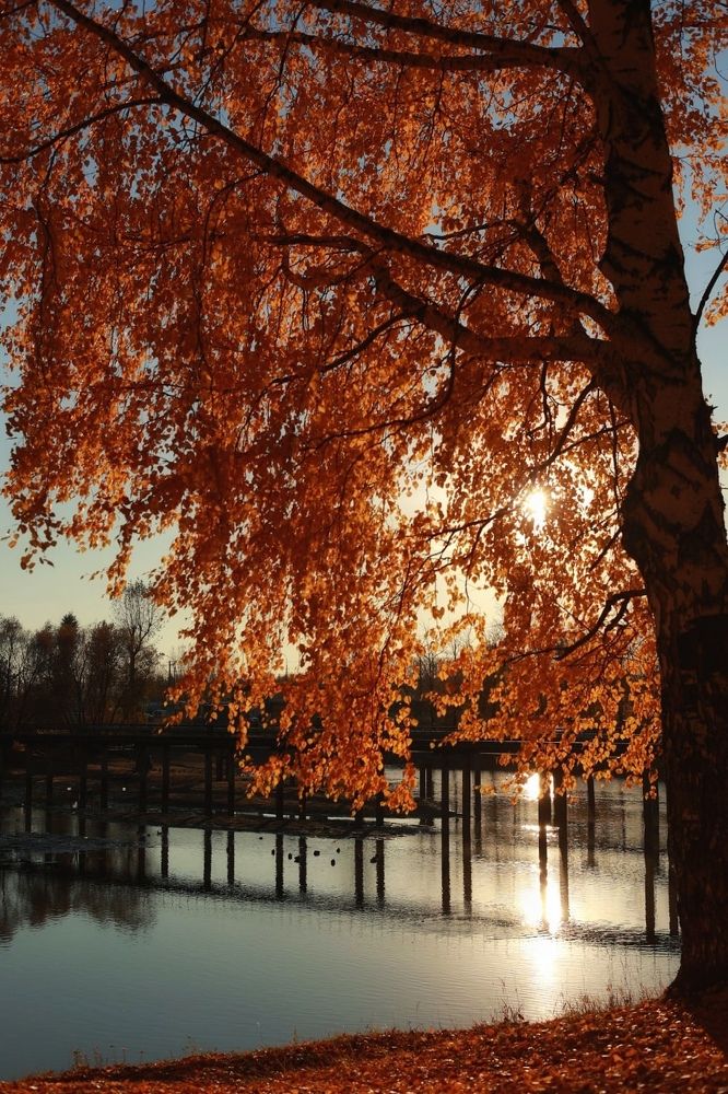 Photograph by Мария Карабатова