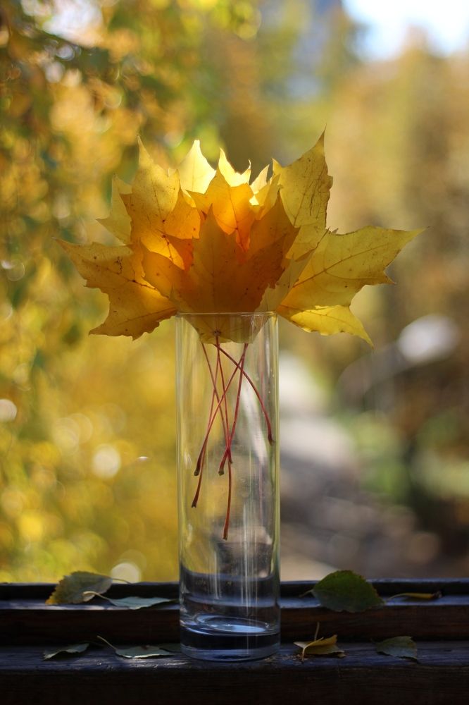 Photograph by Елена Петрова