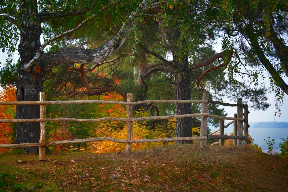 Photograph by Владимир Лосман