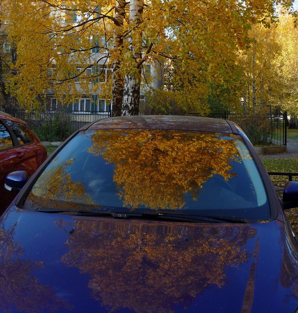 Photograph by Людмила Викулова