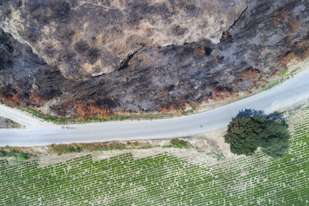 Photograph by Вадим Сташкевич