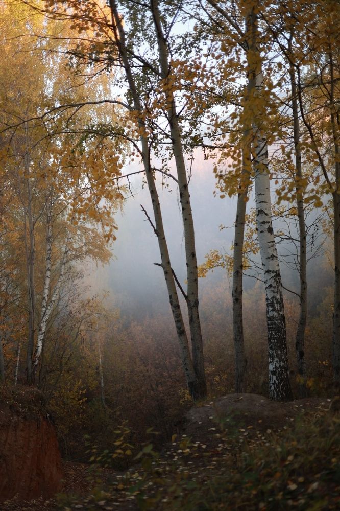 Photograph by Мария Карабатова