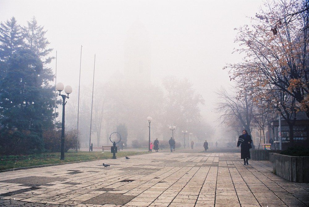 Фотография автора Stevo Dragić