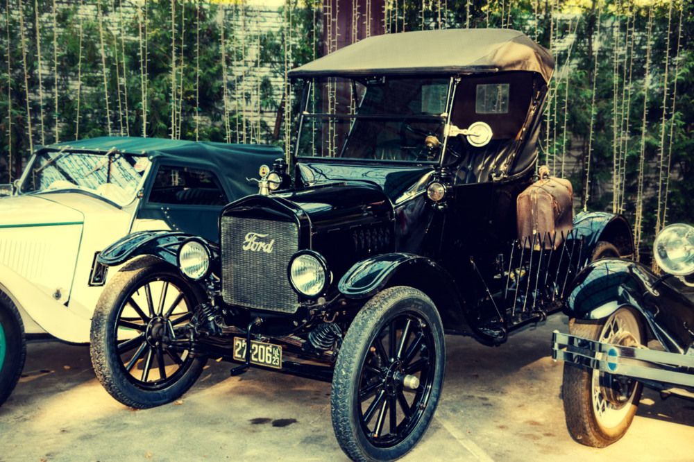 Photograph by Veronika Pershyna