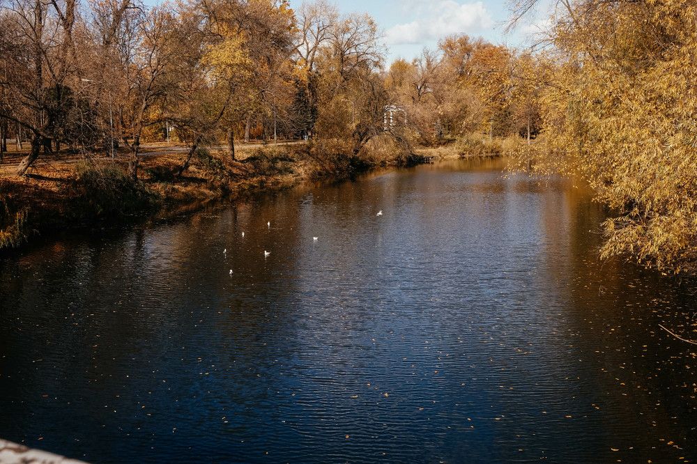 Photograph by ольга