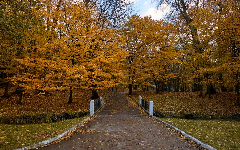 Photograph by Владимир Чернышов