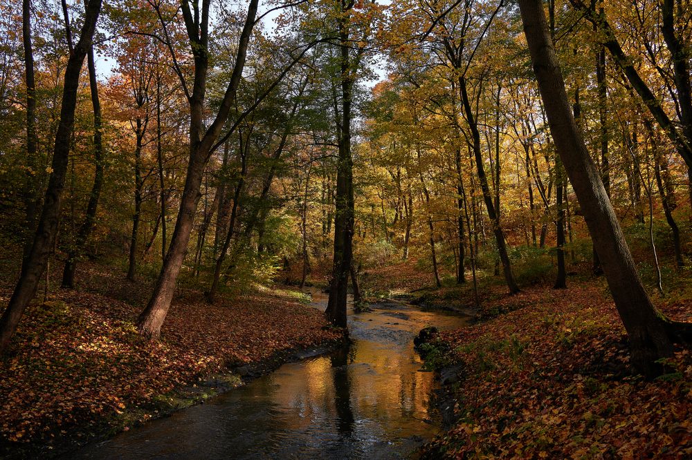 Photograph by Владимир Чернышов