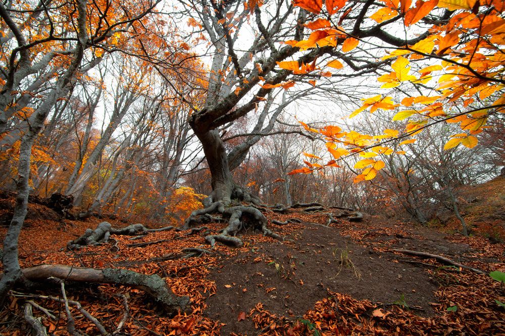 Photograph by Сергей Абашкин